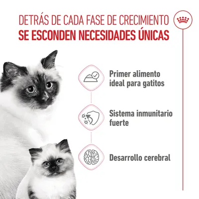 Royal Canin Mother & Babycat Ultra Soft Mousse - 12 x 195 g