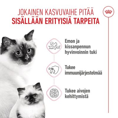 Grafiikka, jossa on kissa ja kissanpentu, teksti suomeksi: Emo- ja kissanpentujen hyvinvoinnin tukeminen, immuunijärjestelmän ja aivojen kehitystä edistetään.