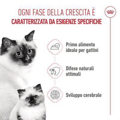 Royal Canin Mother & Babycat Mousse ultra soffice