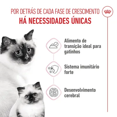 Royal Canin Mother & Babycat Ultra Soft Mousse - 12 x 195 g
