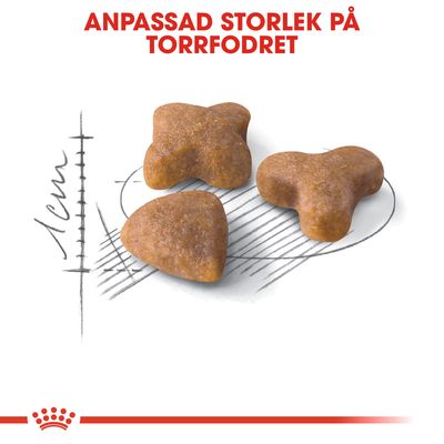 Tre bitar torrfoder i olika former, med texten 'Anpassad storlek på torrfodret' och en skiss som visar måttskala 1 cm.