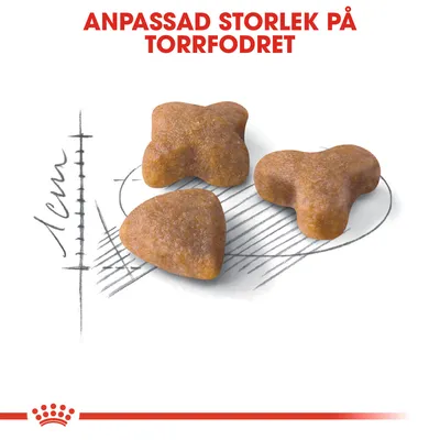 Tre bitar torrfoder i olika former, med texten 'Anpassad storlek på torrfodret' och en skiss som visar måttskala 1 cm.