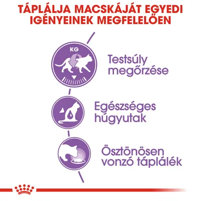 Táplálja macskáját egyedi igényeinek megfelelően: testsúly megőrzése, egészséges húgyutak, ösztönösen vonzó táplálék. Lila ikonokkal illusztrálva.