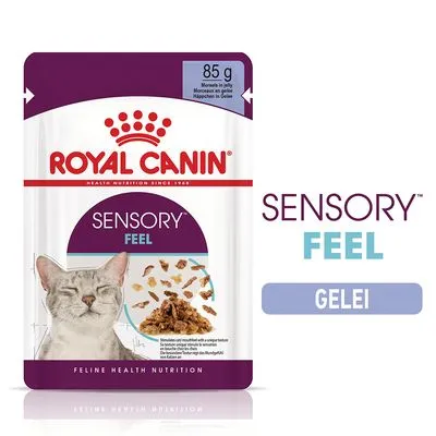 Royal Canin Sensory Feel kattenvoer in gelei, 85 g. Verpakking toont kat en stukjes voer. Tekst: SENSORY FEEL GELEI. Feline Health Nutrition. Royal Canin Sensory Feel kattenvoer in gelei, 85 g. Verpakking toont kat en stukjes voer. Tekst: SENSORY FEEL GELEI. Feline Health Nutrition.