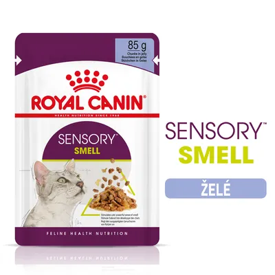 ROYAL CANIN SENSORY SMELL, 85 g, kúsky v želé. Balenie s obrázkom mačky a krmiva. Text: SENSORY SMELL, ŽELÉ.