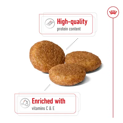 Kibble shown with highlighted features: high-quality protein content and enriched with vitamins C and E.