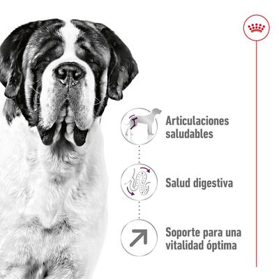 Perro grande junto a iconos y texto: Articulaciones saludables, Salud digestiva, Soporte para una vitalidad óptima. Logotipo de corona roja en la esquina superior derecha.