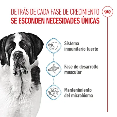 Royal Canin Giant Junior - 15 kg