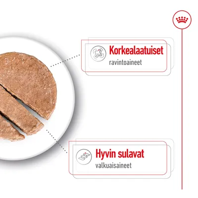 Korkealaatuiset ravintoaineet, hyvin sulavat valkuaisaineet – teksti ja kaaviot koiranruoan viipaleiden yhteydessä lautasella