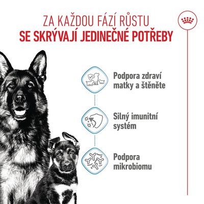 Grafika se třemi body: podpora zdraví matky a štěněte, silný imunitní systém, podpora mikrobiomu. Text v češtině.