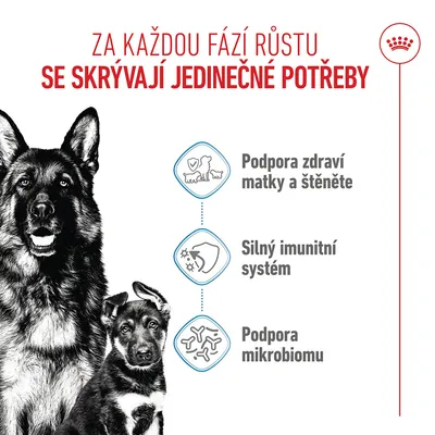 Grafika se třemi body: podpora zdraví matky a štěněte, silný imunitní systém, podpora mikrobiomu. Text v češtině. Grafika se třemi body: podpora zdraví matky a štěněte, silný imunitní systém, podpora mikrobiomu. Text v češtině.