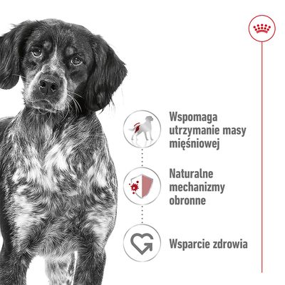 Royal Canin. Wspomaga utrzymanie masy mięśniowej, naturalne mechanizmy obronne, wsparcie zdrowia – tekst i ikony obok psa.