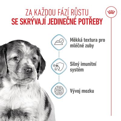 Grafika se psem a třemi symboly: Měkká textura pro mléčné zuby, silný imunitní systém, vývoj mozku. Text v češtině.