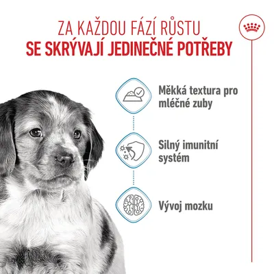 Grafika se psem a třemi symboly: Měkká textura pro mléčné zuby, silný imunitní systém, vývoj mozku. Text v češtině.