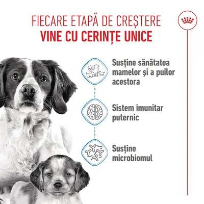 Grafică cu câine și cățel, text în română: Susține sănătatea mamei și a cățeilor, sistem imunitar puternic, susține microbiomul.