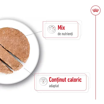 Mix de nutrienți. Conținut caloric adaptat. Felie de hrană umedă pe farfurie, prezentare cu text informativ despre compoziție și calorii.