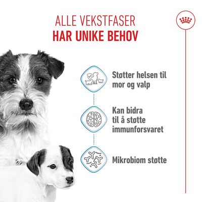 Royal Canin Mini Starter Mother & Babydog