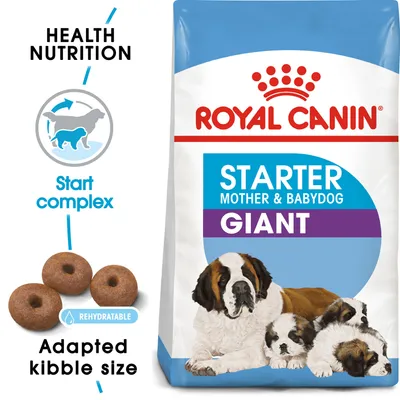 Royal Canin Starter Mother & Babydog Giant -koiranruokapakkaus, kuvassa emä ja pentuja, nappuloiden koko esitetty, tekstit: Health Nutrition, Start complex, Adapted kibble size, Rehydratable. Royal Canin Starter Mother & Babydog Giant -koiranruokapakkaus, kuvassa emä ja pentuja, nappuloiden koko esitetty, tekstit: Health Nutrition, Start complex, Adapted kibble size, Rehydratable.