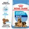 Royal Canin Maxi Starter Mother & Babydog säästöpakkaus: 2 x 15 kg
