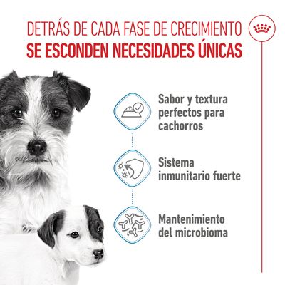 Royal Canin Starter Mousse Mother & Babydog