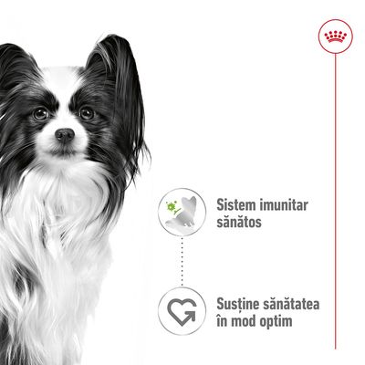 Câine alb-negru, text: Sistem imunitar sănătos. Susține sănătatea în mod optim. Simboluri asociate cu fiecare afirmație. Siglă Royal Canin în colțul dreapta sus.
