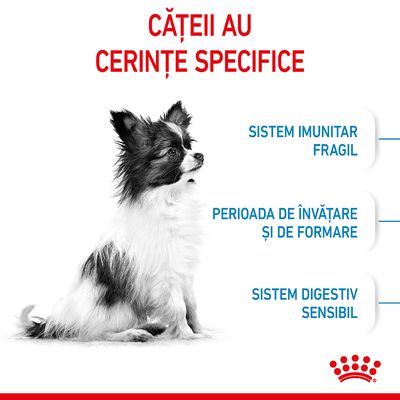 CĂȚEII AU CERINȚE SPECIFICE: sistem imunitar fragil, perioadă de învățare și de formare, sistem digestiv sensibil. Imagine cu un cățel alb-negru. Sigla Royal Canin jos dreapta.