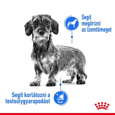 Drótszőrű tacskó, mellette szöveg: Segít megőrizni az izomtömeget. Alatta: Segít korlátozni a testsúlygyarapodást, Kcal piktogrammal. Royal Canin logó alul.