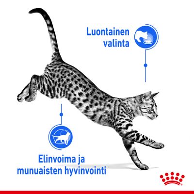 Luontainen valinta. Elinvoima ja munuaisten hyvinvointi. Royal Canin -brändin kruunusymboli oikeassa alakulmassa. Teksti suomeksi.