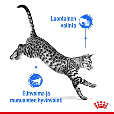 Luontainen valinta. Elinvoima ja munuaisten hyvinvointi. Royal Canin -brändin kruunusymboli oikeassa alakulmassa. Teksti suomeksi.