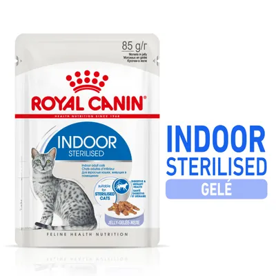 Royal Canin Indoor Sterilised gelé, 85 g. Text: suitable for sterilised cats, jelly-gelée-хеле, digestive & urinary health. Bild på katt och foderbitar i gelé.