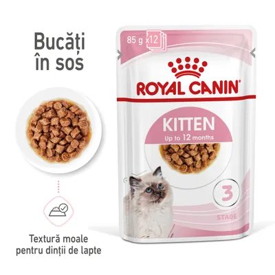 Royal Canin Kitten Up to 12 months, 85 g x12. Bucăți în sos, textură moale pentru dinții de lapte. Imagine cu hrană umedă pentru pisici junior pe farfurie și plic ambalat. Royal Canin Kitten Up to 12 months, 85 g x12. Bucăți în sos, textură moale pentru dinții de lapte. Imagine cu hrană umedă pentru pisici junior pe farfurie și plic ambalat.