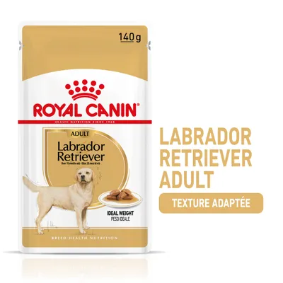Sachet Royal Canin 140 g, Adult Labrador Retriever, Ideal Weight, Texture adaptée, illustration d’un labrador et croquettes visibles sur l’emballage. Sachet Royal Canin 140 g, Adult Labrador Retriever, Ideal Weight, Texture adaptée, illustration d’un labrador et croquettes visibles sur l’emballage.