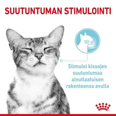 SUUTUNTUMAN STIMULOINTI. Stimuloi kissojen suutuntumaa ainutlaatuisen rakenteensa avulla.