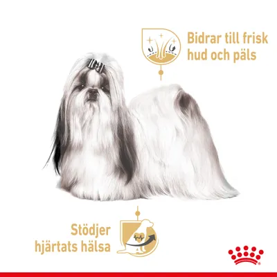 Shih tzu med text: 'Bidrar till frisk hud och päls' samt 'Stödjer hjärtats hälsa'. Royal Canin-symbol synlig längst ner.