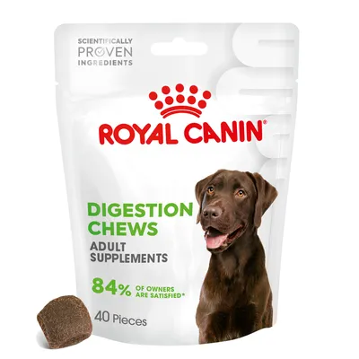 Royal Canin Digestion Chews Adult Supplement Snack cane - 6 x 160 g (240 pz)