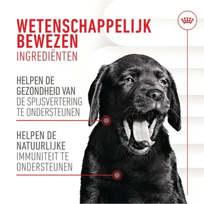 Royal Canin Puppy Immunity & Digestion Supplement  Kauwsnacks - Voordeelpakket: 2 x 100 g (80 stuks)