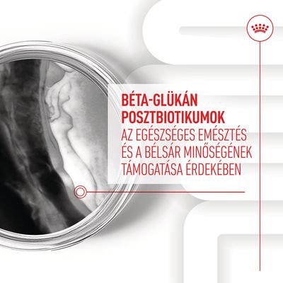 BÉTA-GLÜKÁN POSZTBIOTIKUMOK AZ EGÉSZSÉGES EMÉSZTÉS ÉS A BÉLSÁR MINŐSÉGÉNEK TÁMOGATÁSA ÉRDEKÉBEN