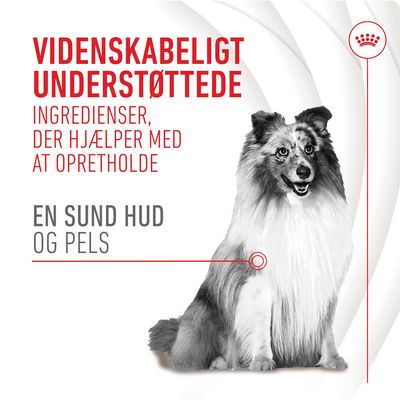 Tekst: VIDENSKABELIGT UNDERSTØTTEDE ingredienser, der hjælper med at opretholde en sund hud og pels. Billede af hund ved siden af teksten.