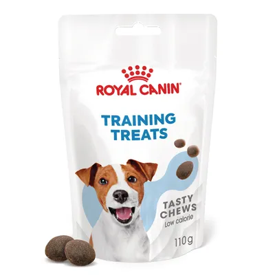 Royal Canin Training Treats Tasty Chews Low calorie 110 g -pussi, kuvassa koira ja ruskeita makupaloja