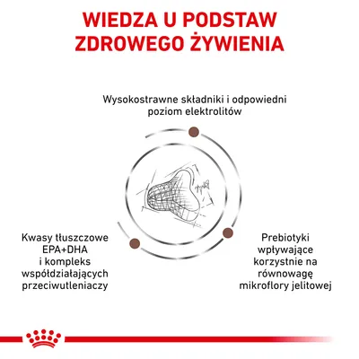 Wiedza u podstaw zdrowego żywienia: wysokostrawne składniki i elektrolity, kwasy tłuszczowe EPA+DHA z przeciwutleniaczami, prebiotyki dla mikroflory jelitowej. Schemat krokieta.