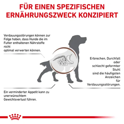 Текст на немецком: FÜR EINEN SPEZIFISCHEN ERNÄHRUNGSZWECK KONZIPIERT. Описание пищеварительных расстройств у собак, симптомы и последствия. Схематичное изображение собаки с органами пищеварения.