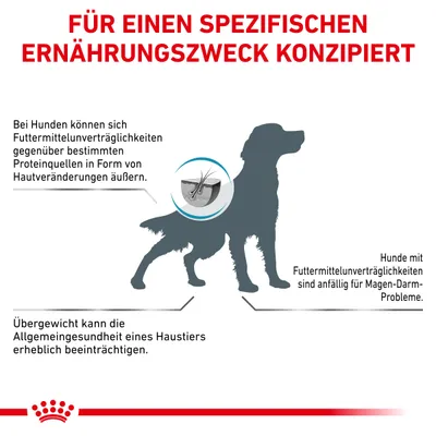 Текст на немецком: FÜR EINEN SPEZIFISCHEN ERNÄHRUNGSZWECK KONZIPIERT. Инфографика с силуэтом собаки и пояснениями о пищевой непереносимости, кожных изменениях и проблемах ЖКТ.