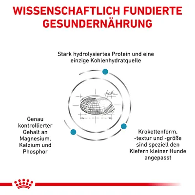 Texte en allemand : Wissenschaftlich fundierte Gesundernaehrung. Protéine fortement hydrolysée, une seule source de glucides, teneur contrôlée en magnésium, calcium, phosphore, croquette adaptée petits chiens.
