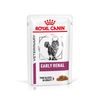 Royal Canin Early Renal Feline Veterinary umido gatto 12 x 85 g