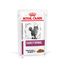 Royal Canin Early Renal Feline Veterinary umido gatto 12 x 85 g