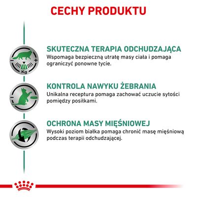 Cechy produktu: skuteczna terapia odchudzająca, kontrola nawyku żebrania, ochrona masy mięśniowej. Szczegóły dotyczą wsparcia utraty masy ciała, sytości i ochrony mięśni.