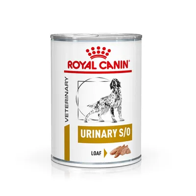 Tin labelled Veterinary Urinary S/O Loaf, showing product type and loaf texture.