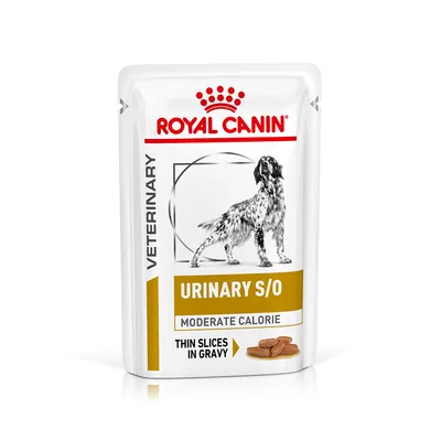 ROYAL CANIN VETERINARY URINARY S/O MODERATE CALORIE THIN SLICES IN GRAVY kapsička s obrázkem psa na obalu