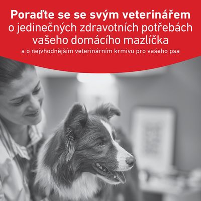 Royal Canin Veterinary Canine Glycobalance