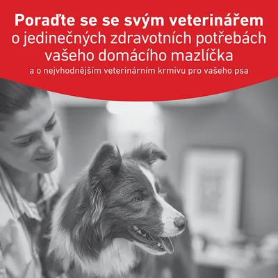 Royal Canin Veterinary Canine Glycobalance Mousse Royal Canin Veterinary Canine Glycobalance Mousse